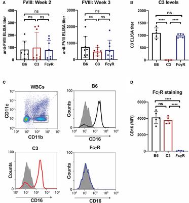 Fc Gamma Receptors and Complement Component 3 Facilitate Anti-fVIII Antibody Formation